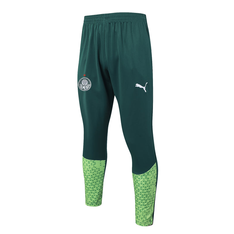 Conjunto de treino Palmeiras Reserva 24/25 - Puma