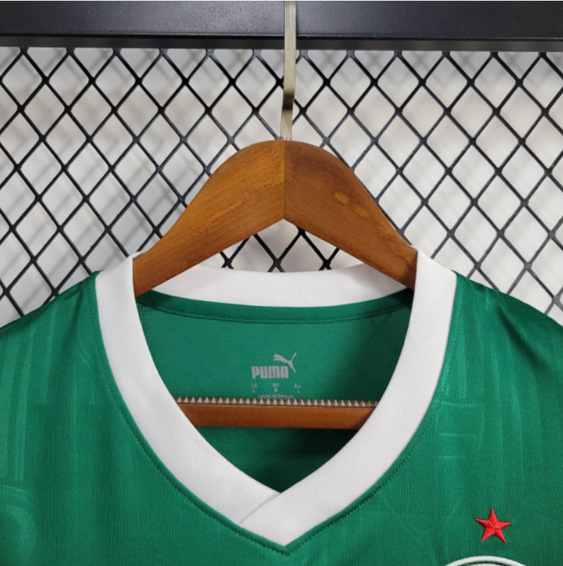 Regata Palmeiras Home 24/25 -  Puma Torcedor Masculino